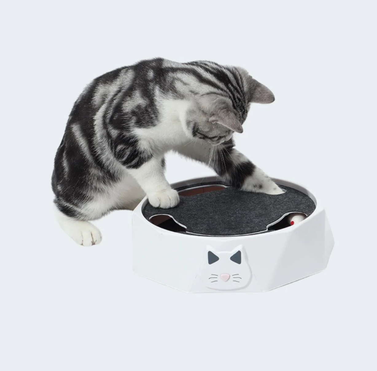 Interactive Hide And Seek Mouse Game