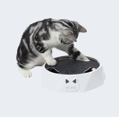 Interactive Hide And Seek Mouse Game
