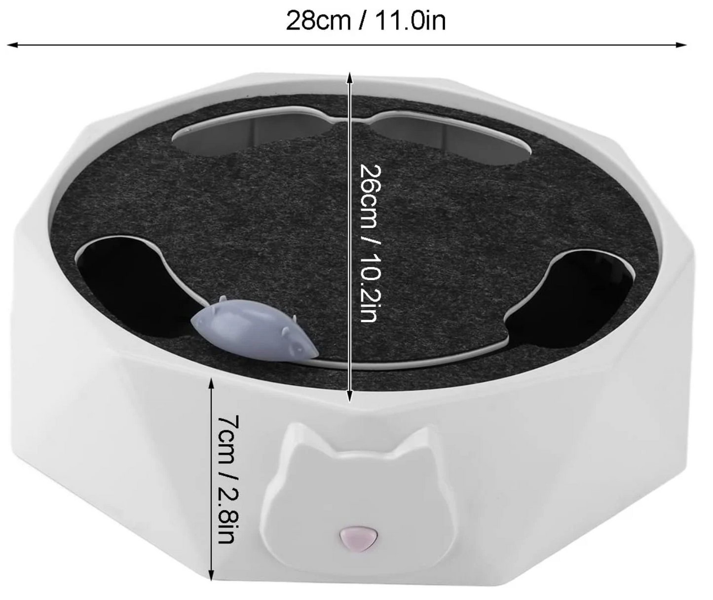 Interactive Hide And Seek Mouse Game