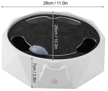 Interactive Hide And Seek Mouse Game