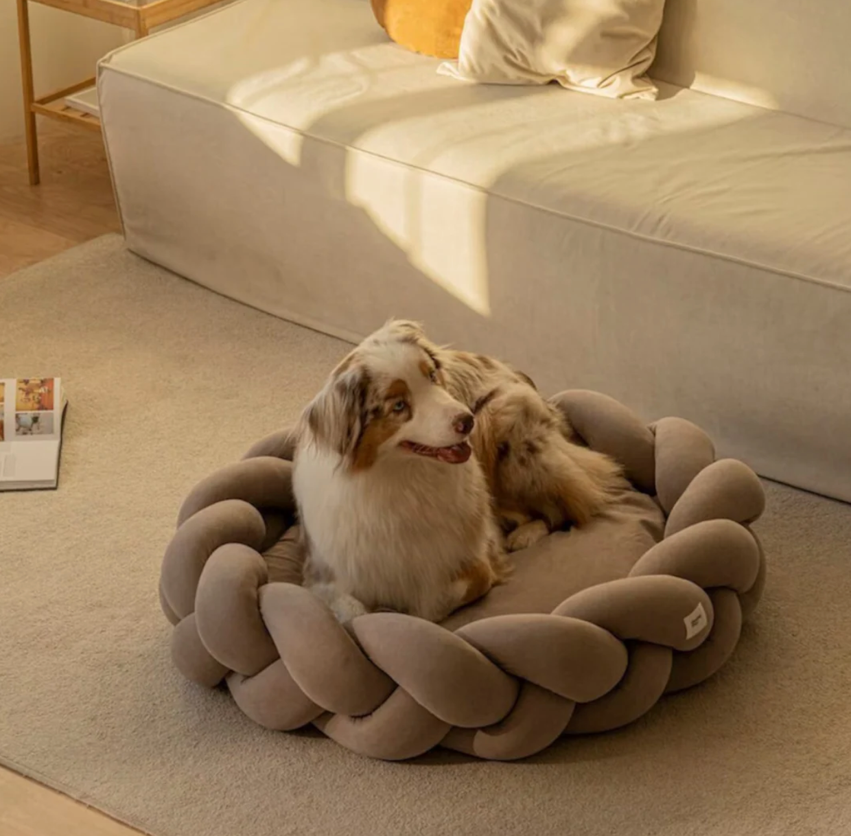 Deluxe Orthopedic Dog Bed