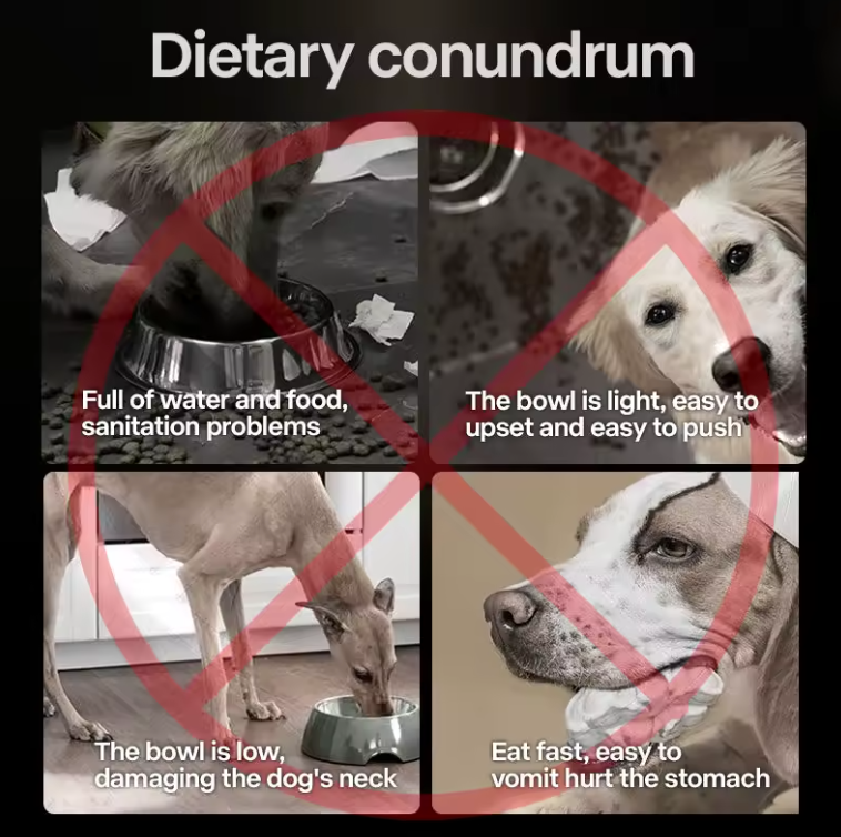 Adjustable Raised Dog Feeder Bowl Set