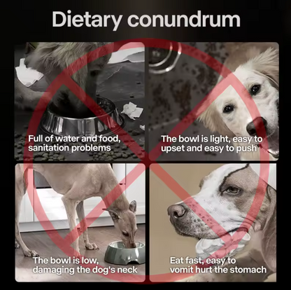 Adjustable Raised Dog Feeder Bowl Set