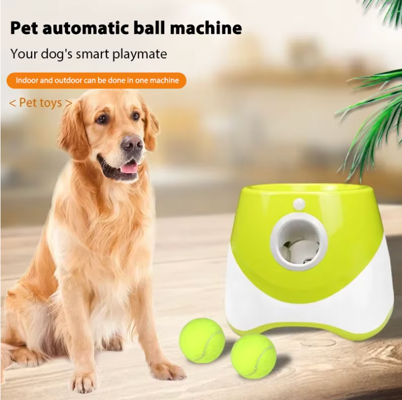 Automatic Dog Ball Launcher Interactive