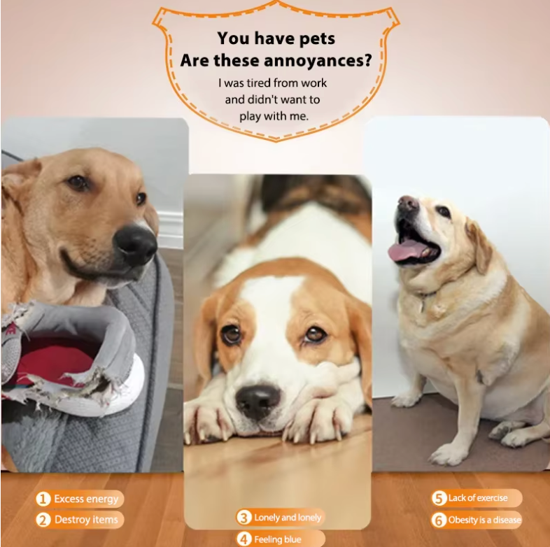 Automatic Dog Ball Launcher Interactive