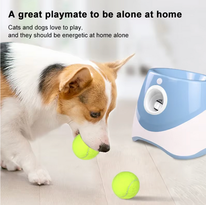 Automatic Dog Ball Launcher Interactive