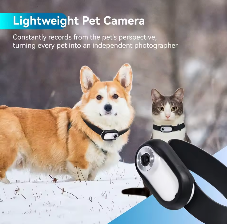 Pet Action Camera HD Collar Mount