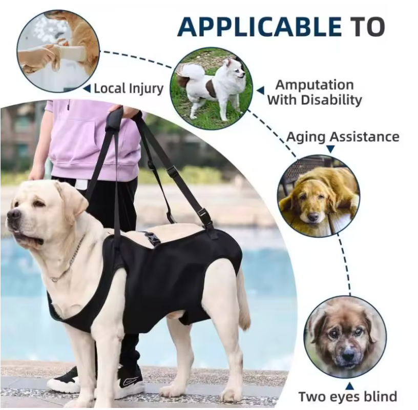 LiftEase Patient Mobility Sling