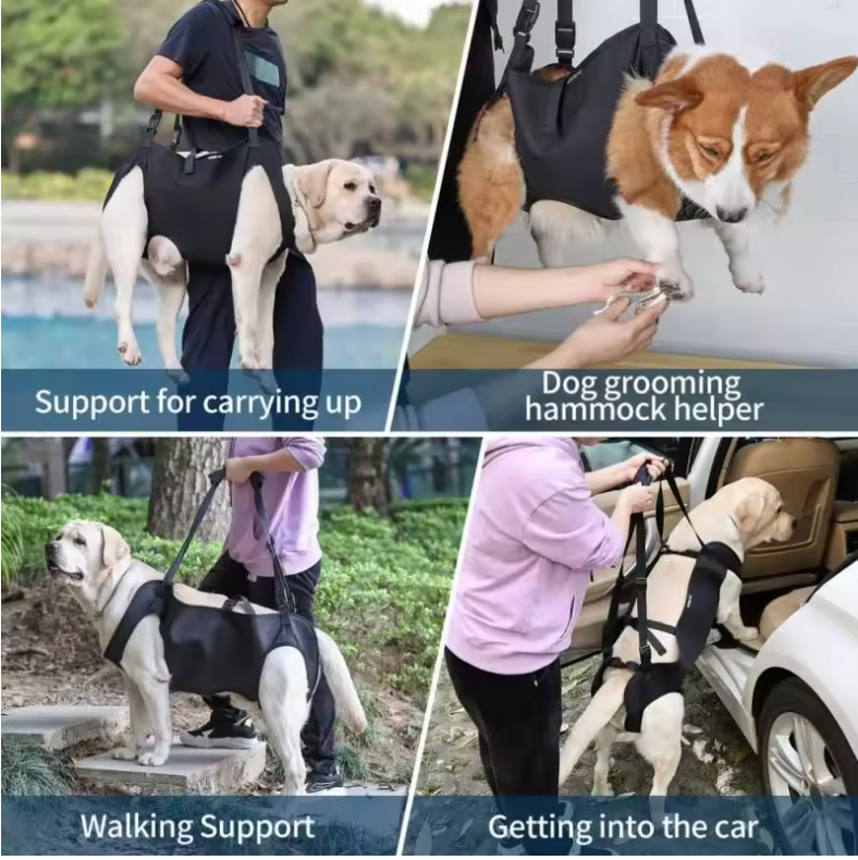 LiftEase Patient Mobility Sling