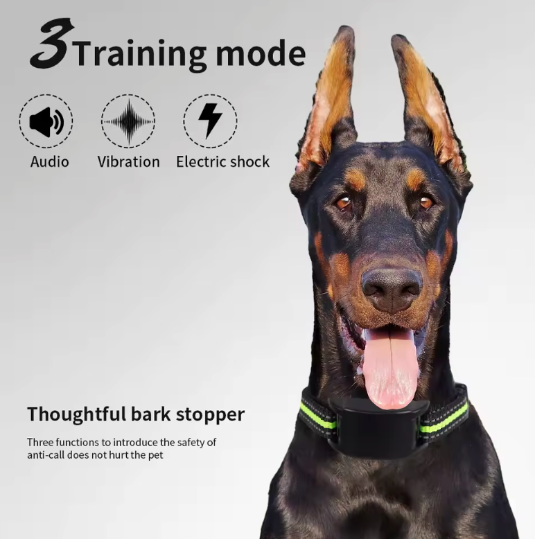Dog Training Collar Intelligent