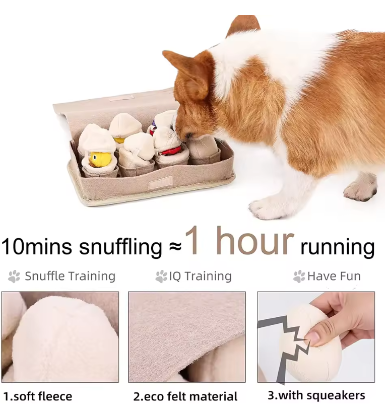 Interactive Dog Snuffle Box For Egg Hunt