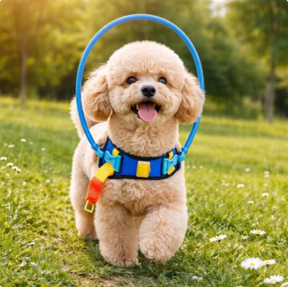 Pet Grooming Guide