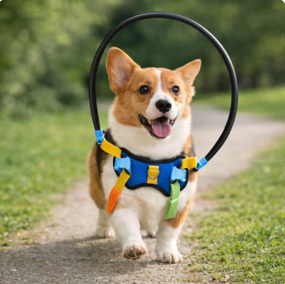 Pet Grooming Guide