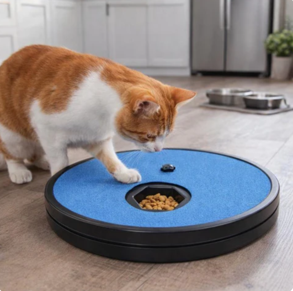 Cat Scratch Pad