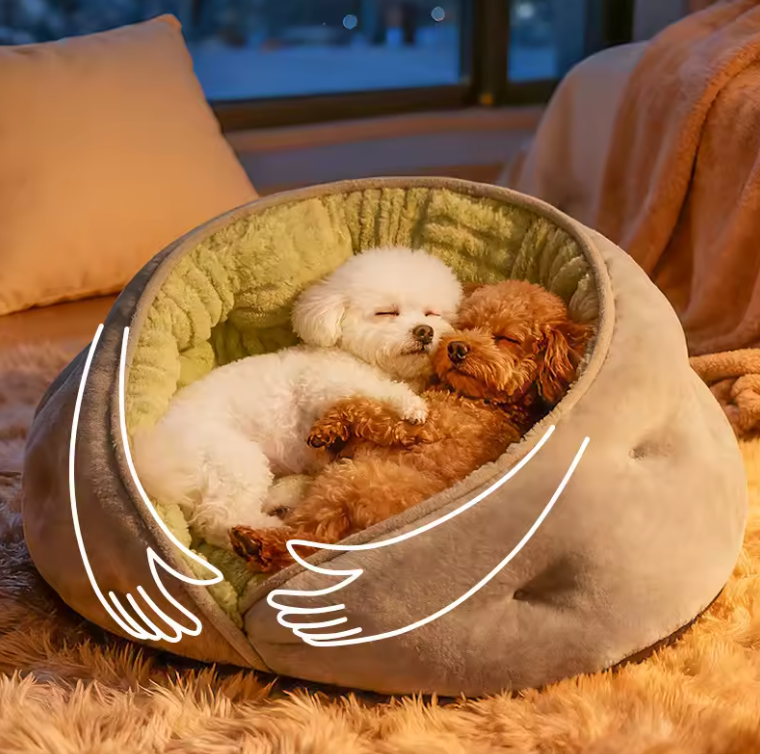 Pet Bed