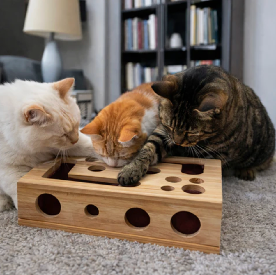 Cat Scratch Post Board