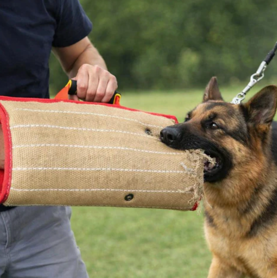 Grip Bite Mouthguard Pad