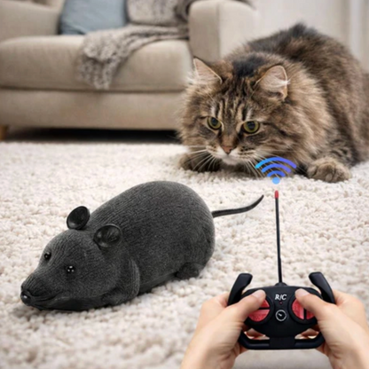 Wireless Computer Mouse