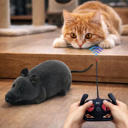 Wireless Computer Mouse