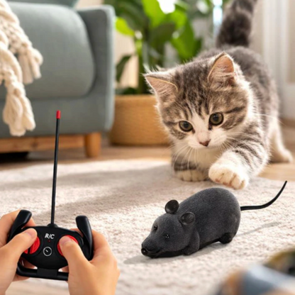 Wireless Computer Mouse