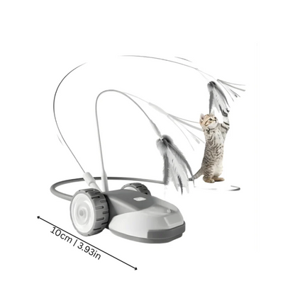 Chase Whisker Interactive Cat Toy