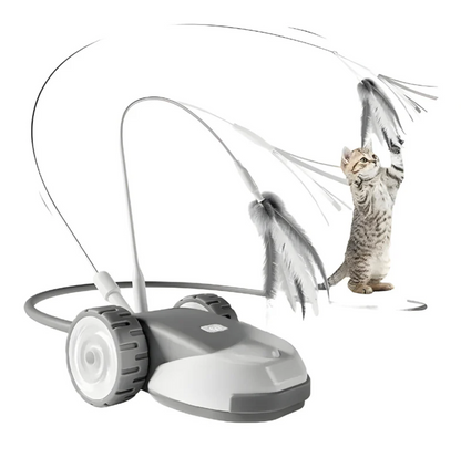 Chase Whisker Interactive Cat Toy