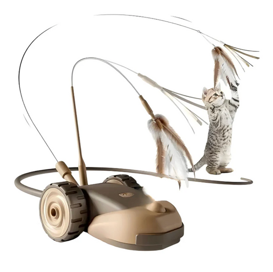Chase Whisker Interactive Cat Toy - Pupporia