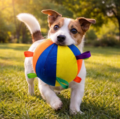 Bounce Burst Inflatable Play Ball