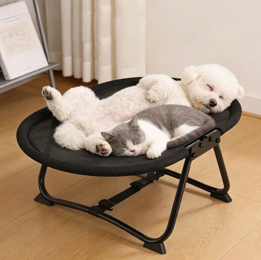Pet Lounge Cushion - Pupporia