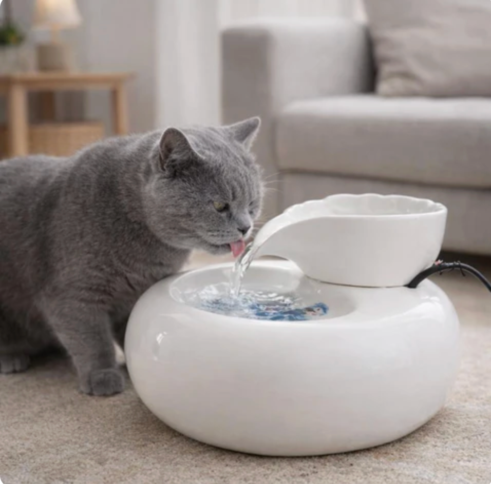 AquaFlow Pet Water Fountain