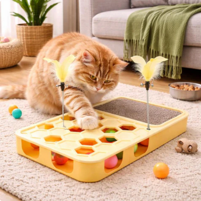 Interactive Treat Board