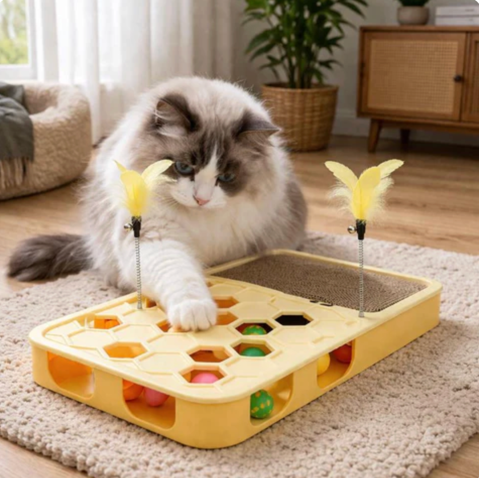 Interactive Treat Board