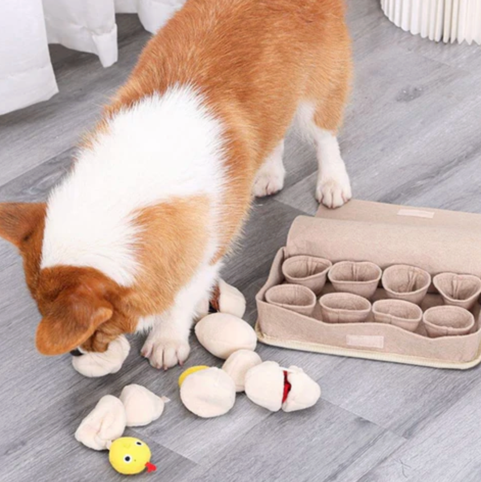 Interactive Egg Pet Toy