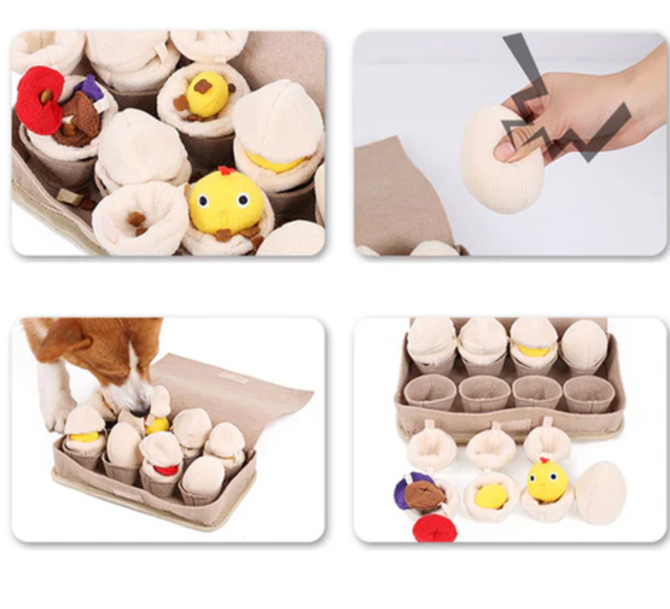 Interactive Egg Pet Toy