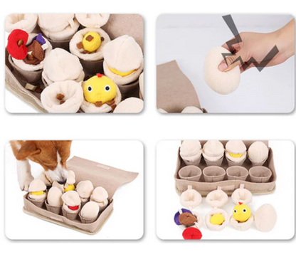 Interactive Egg Pet Toy