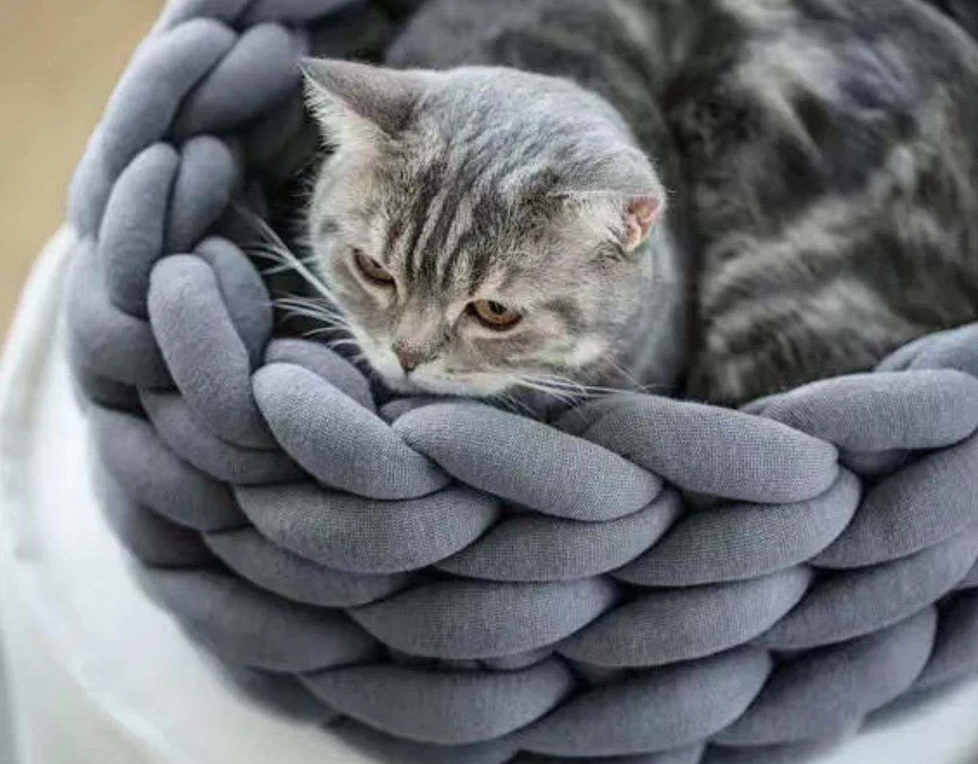 CozyWeave Woven Pet Basket