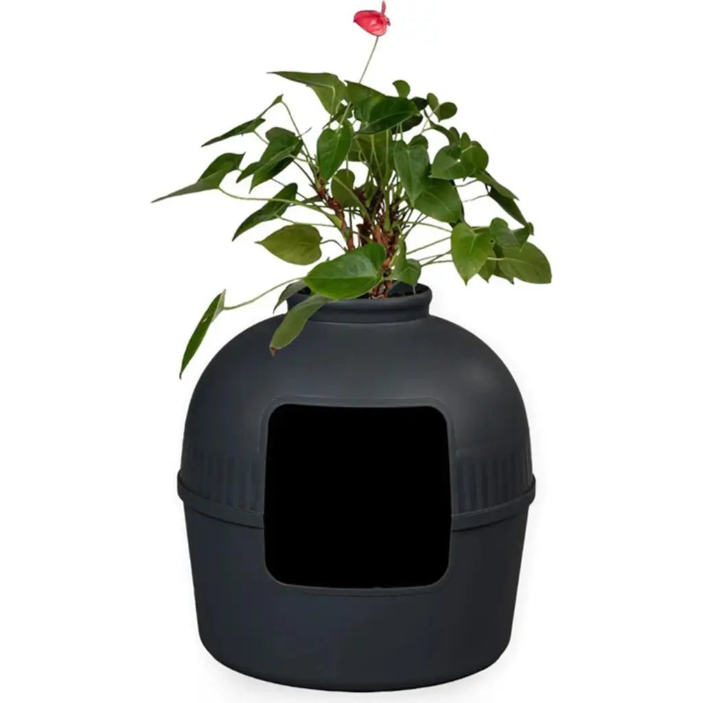 Black pet litter box with a plant on a white background
