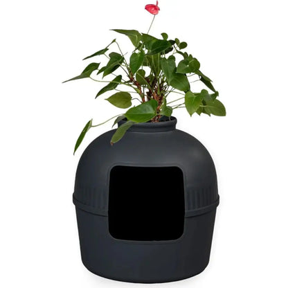 Black pet litter box with a plant on a white background