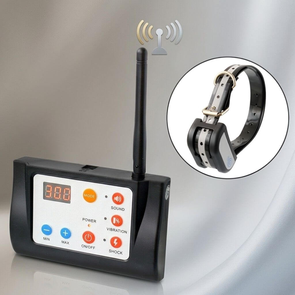 Wireless Dog Fence Training System - Pupporia