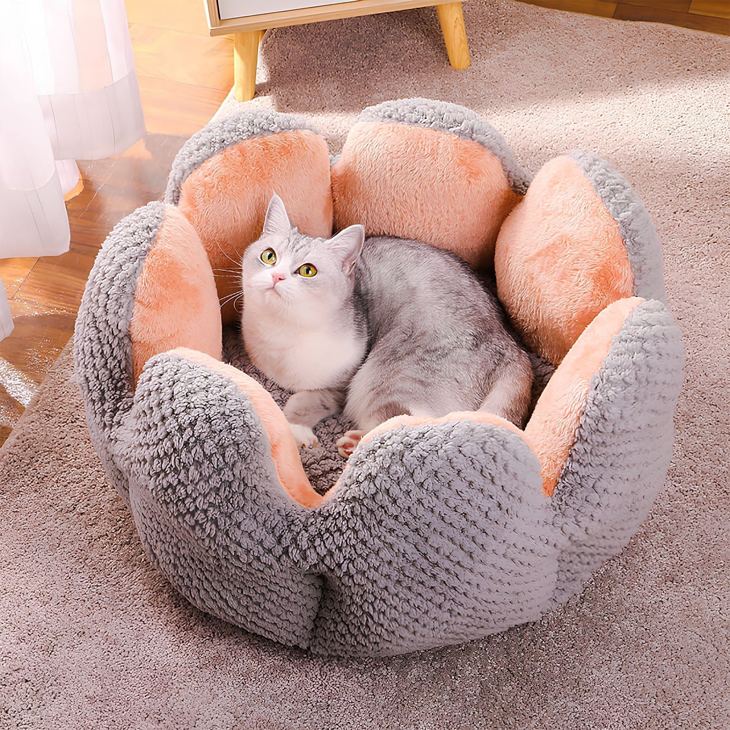 Pet Bed For Cats And Dogs Fun Shape