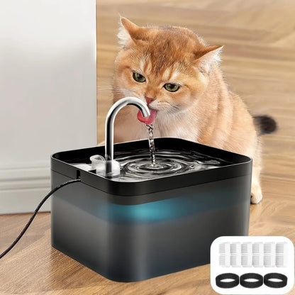 Cat drinking water from a black pet fountain on a wooden floor