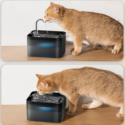 Cat drinking water from a black pet fountain on a wooden surface