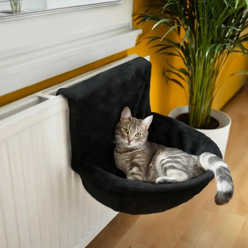 Cat lounging in a black pet hammock attached to a radiator with a plant in the background