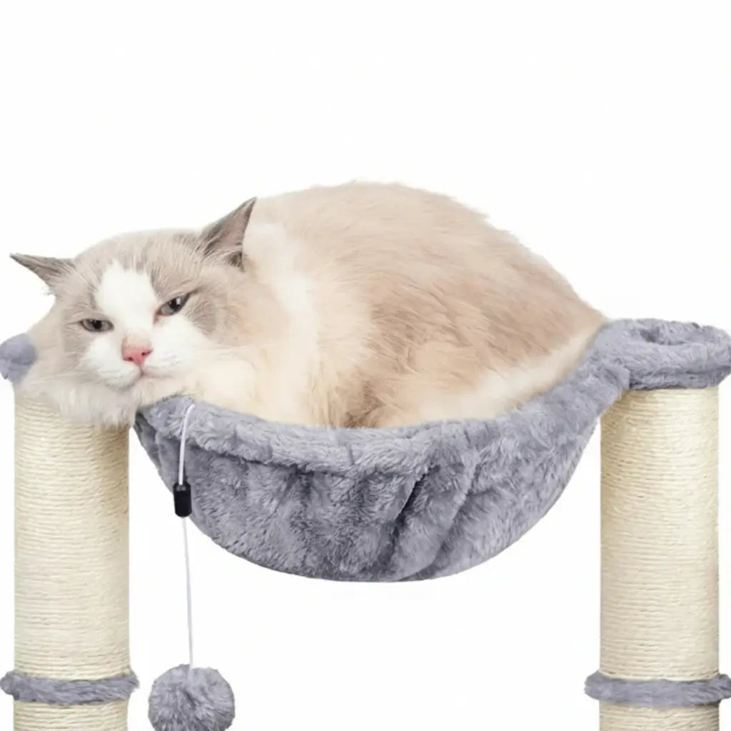 Cat lounging in a gray hammock attached to a scratching post on a white background