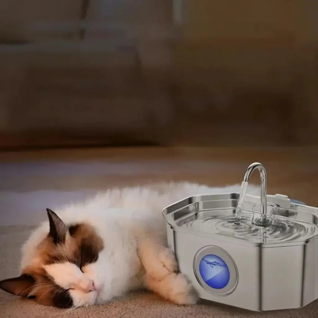 Cat lying next to a pet water fountain on a carpeted floor