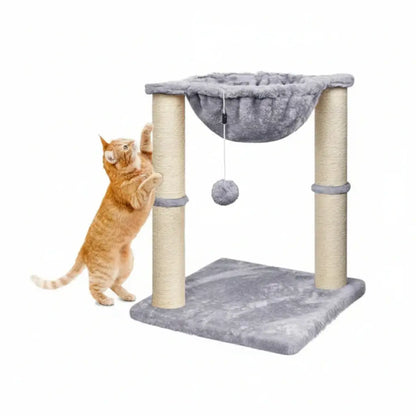 Cat playing with a cat tree on a white background