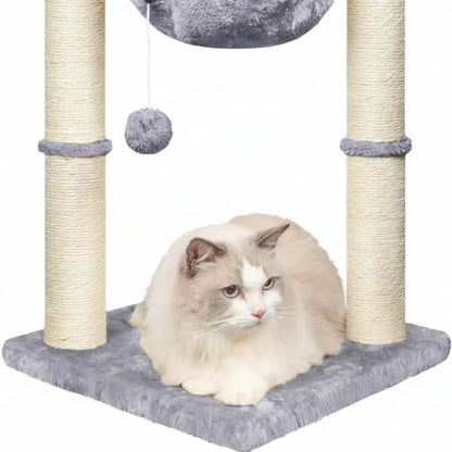 Cat sitting on a cat tree with scratching posts and a hanging ball toy