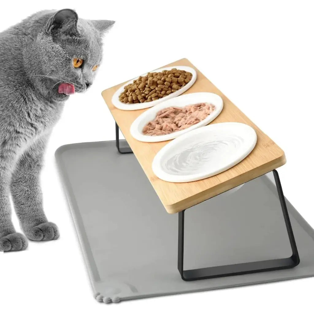 Ceramic Cat Food Bowls Tilted Bamboo Stand Anti Vomiting 15° - Pupporia