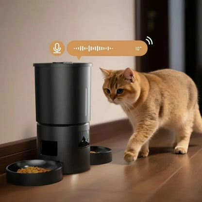Cat standing next to a smart black pet feeder on a wooden floor.