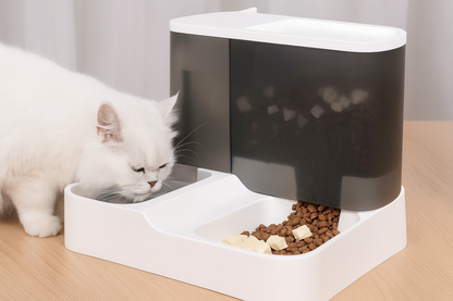 Dual Pet Feeding Station